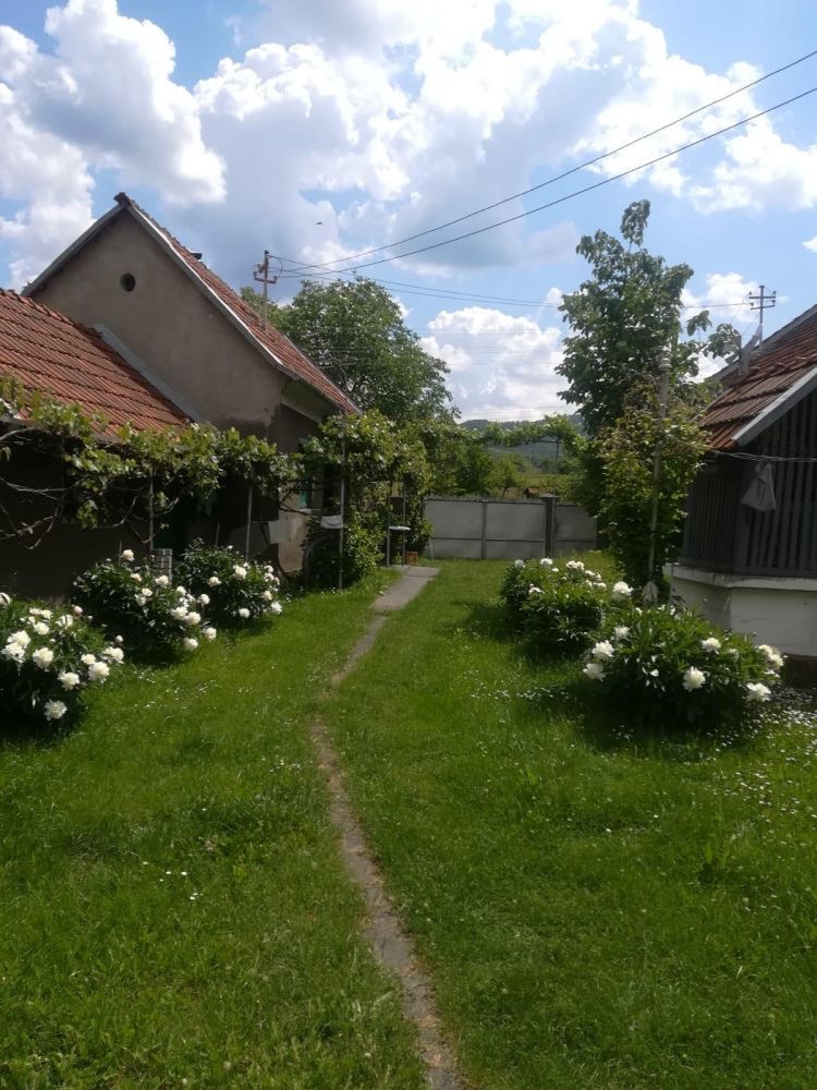 Emma își petrece mare parte din zi în curte sau în grădină