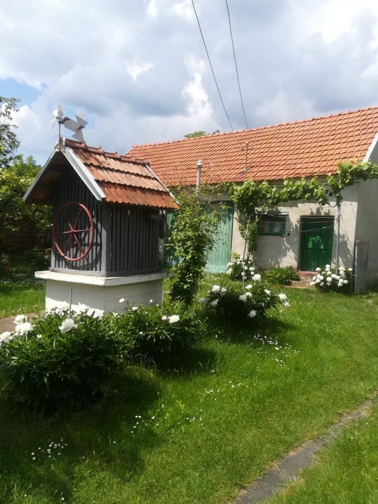 Emma își petrece mare parte din zi în curte sau în grădină