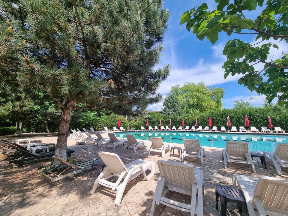 Piscina este înconjurată de multă verdeață și flori