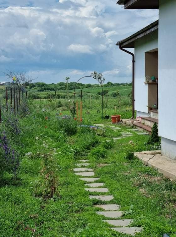 Casa are un teren de 820 de metri pătrați, unde cuplul a amenajat o grădină superbă