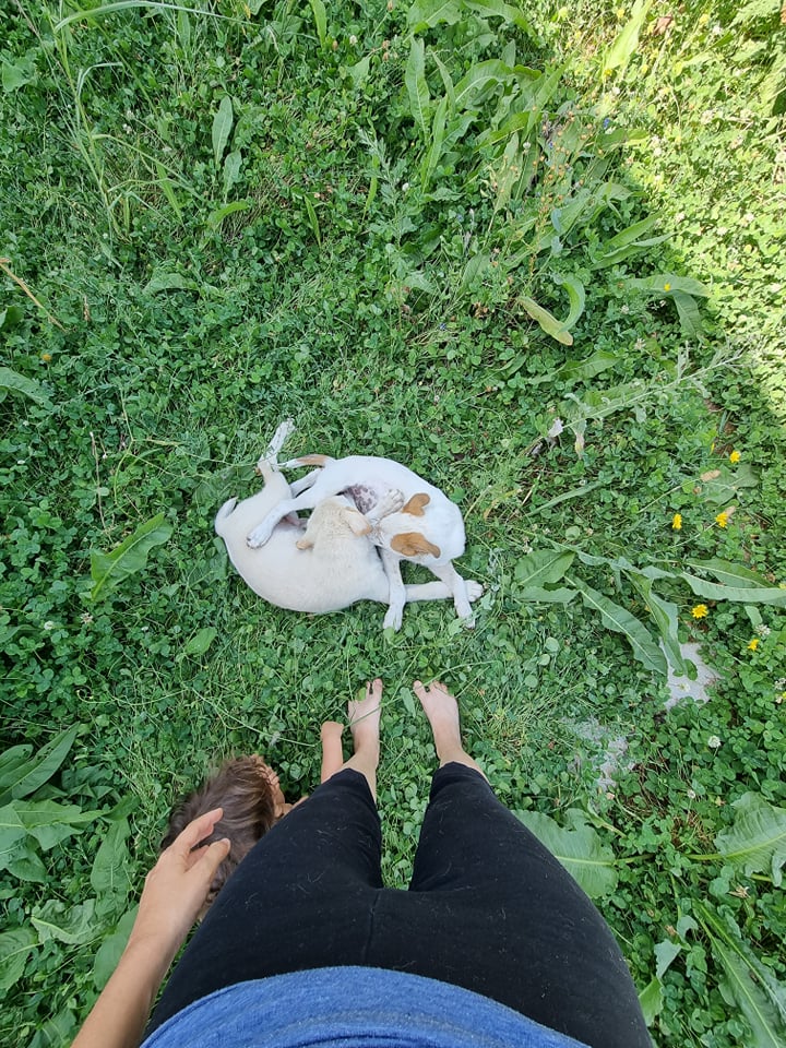 Alexia, Cătălin și fetița lor împart casa cu patru pisici și doi căței