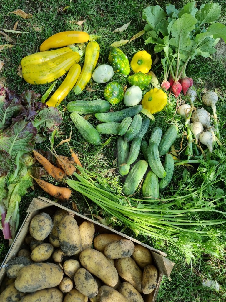 Emilia cheltuie mult mai puțin la țară, deoarece gradina și animalele îi dau tot ce are nevoie