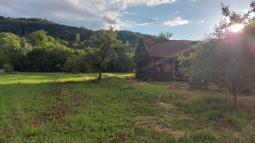 Tinerii vor să renoveze în timp și anexele casei
