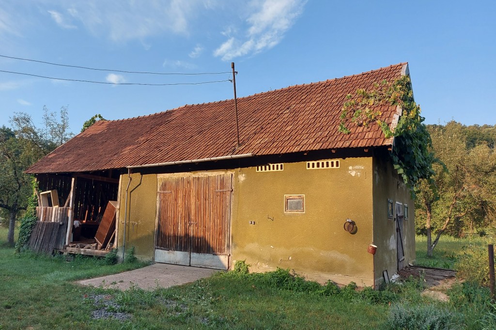Tinerii vor să renoveze în timp și anexele casei