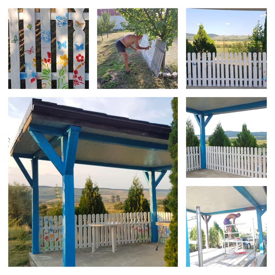 Când și-a pierdut orice speranță, Dana a luat-o de la capăt și a transformat căsuța