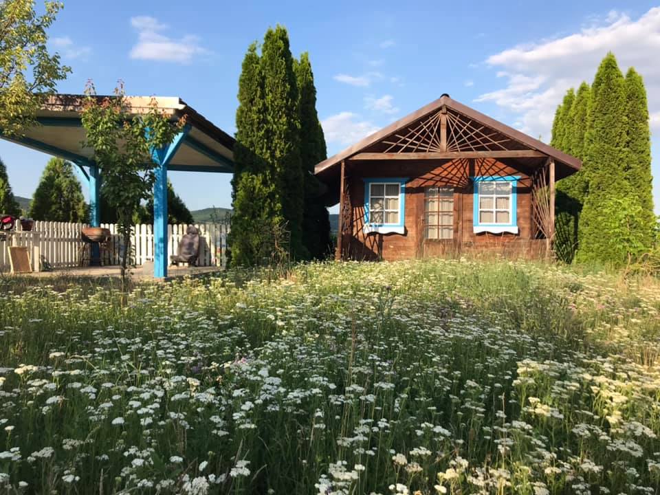 Când și-a pierdut orice speranță, Dana a luat-o de la capăt și a transformat căsuța