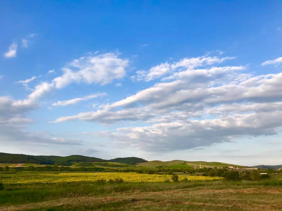 Dana a visat mereu la un teren poziționat lângă un râu