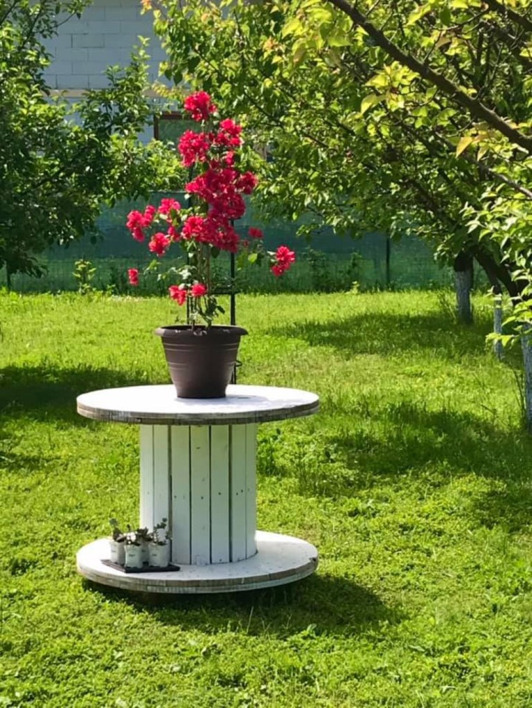 Dana are o mare pasiune pentru flori și a înconjurat terenul casei de ele