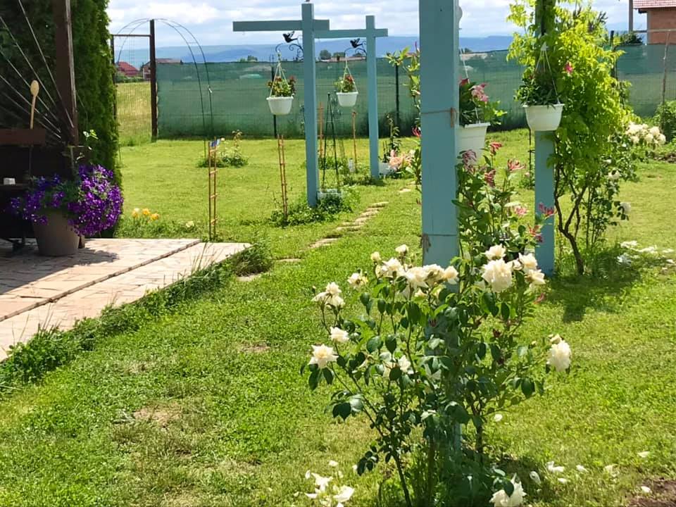 Dana are o mare pasiune pentru flori și a înconjurat terenul casei de ele