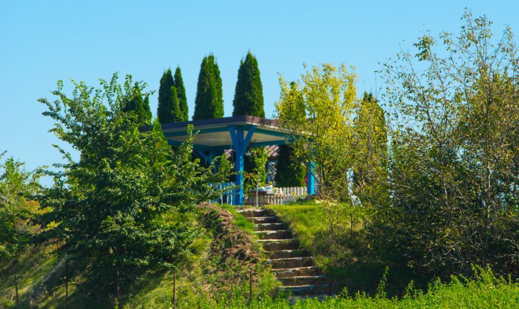 Dana a visat mereu la un teren poziționat lângă un râu