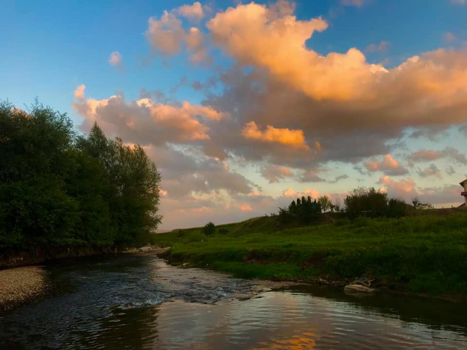 Dana a visat mereu la un teren poziționat lângă un râu