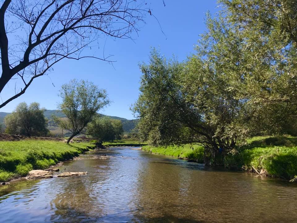 Dana a visat mereu la un teren poziționat lângă un râu