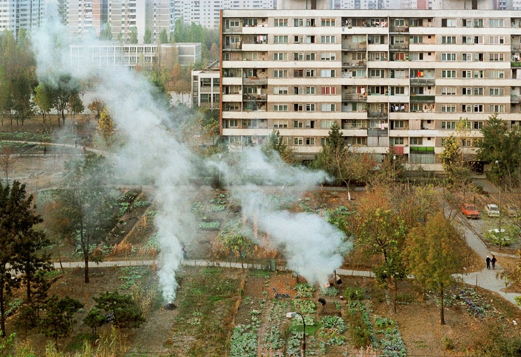 Foto: Dan Dinescu (1984)