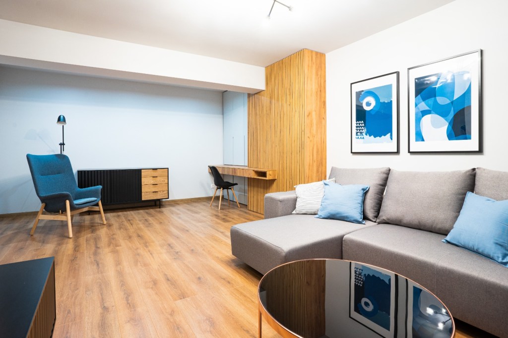 amenajare living spațiu de lucru nisa