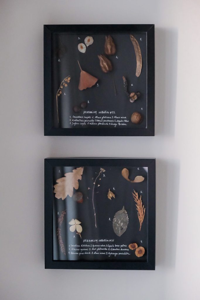 proiect_DIY_home_tour_andreea_craciun