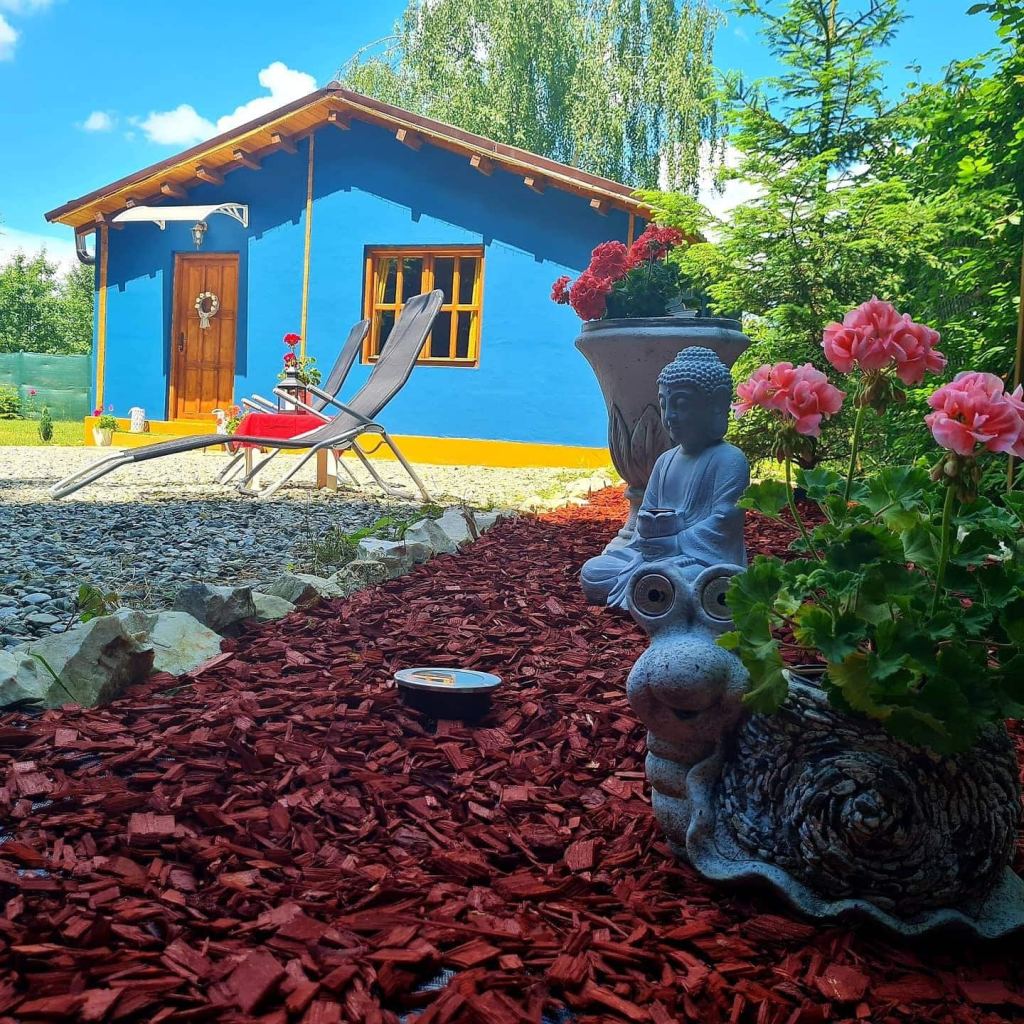 Montebello Cabin, un spațiu de doar 45 metri pătrați