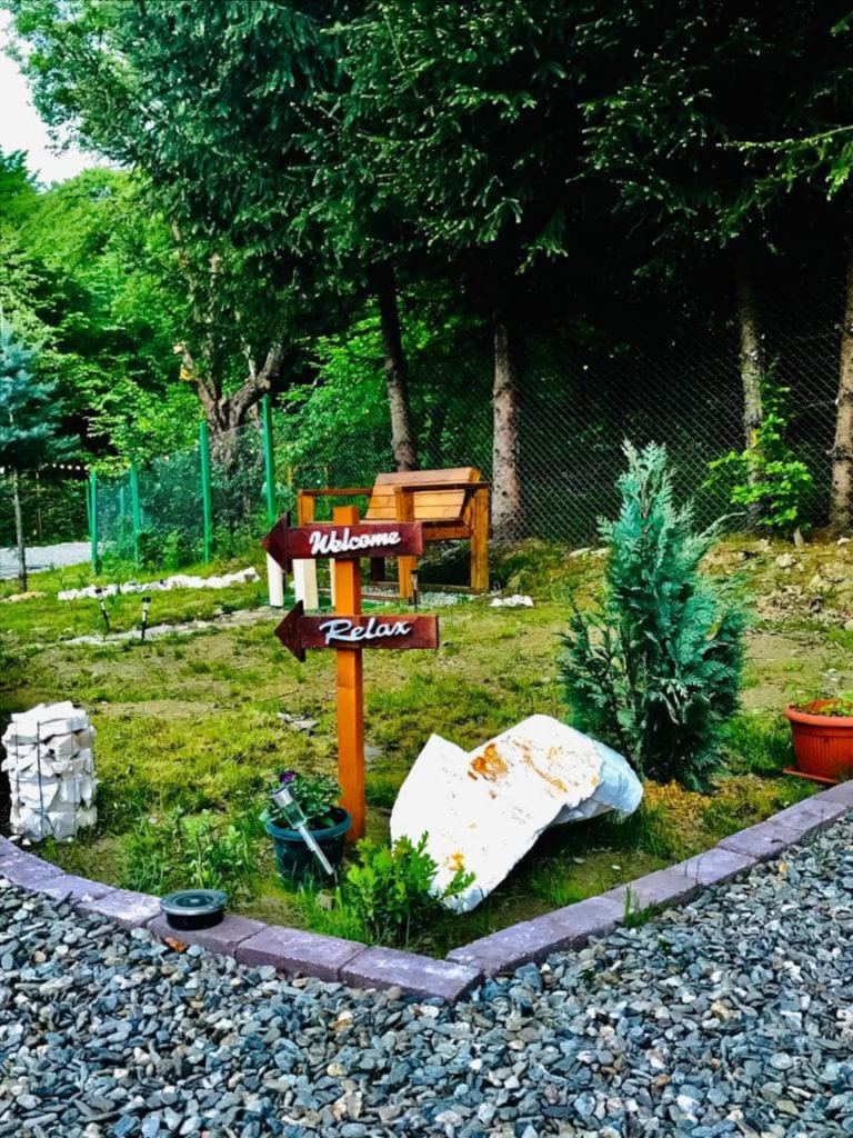 Montebello Cabin, un spațiu de doar 45 metri pătrați
