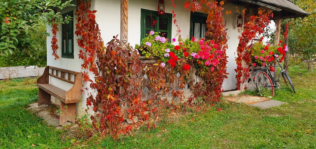 Căsuța bucovineană are o mare valoare sentimentală pentru Iosif și familia lui