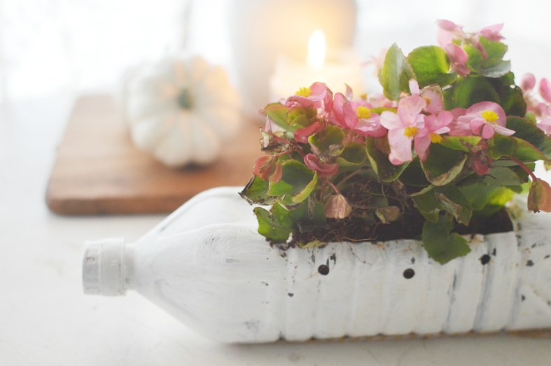 diy sticlă de plastic ghiveci