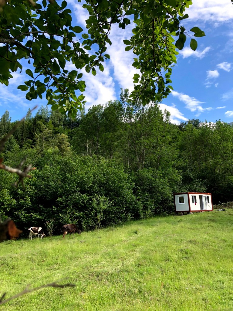 Containerul tiny este amplasat în mijlocul naturii