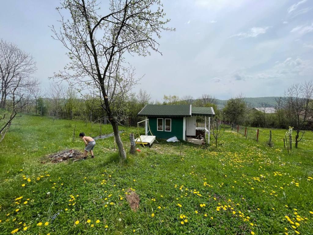 Tiny-ul înaninte să mai aibă încă o cameră