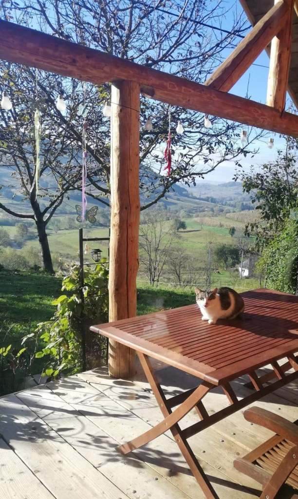 În designul de interior, Simona a îmbinat elemente moderne cu cele tradiționale