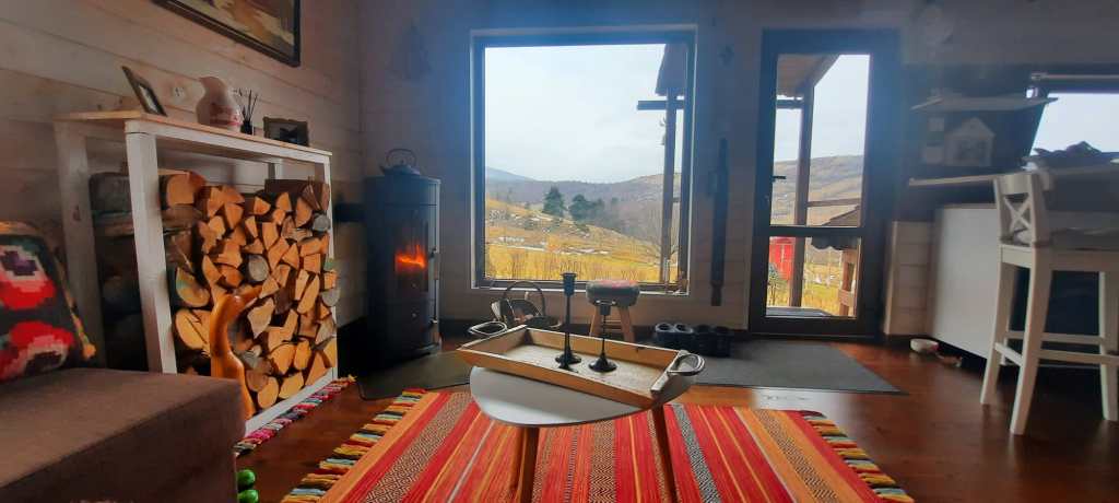 Proprietarul s-a ocupat de curte și design-ul interior al casei