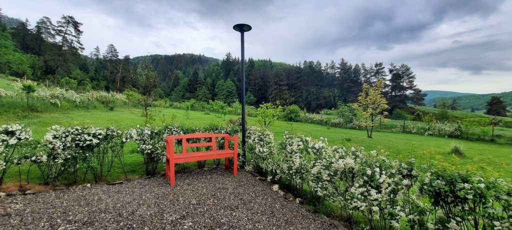 Marin are o adevărată pasiune pentru grădinărit.