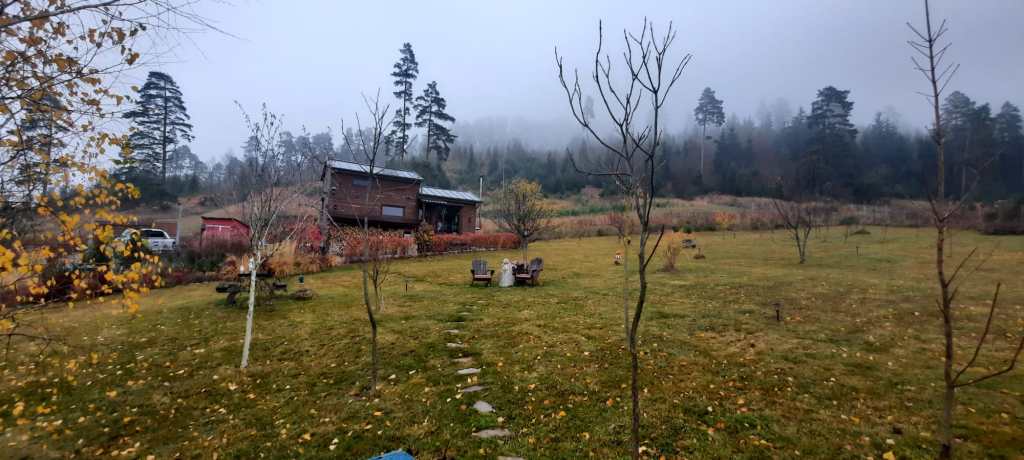 Marin s-a mutat într-un tiny house în 2017