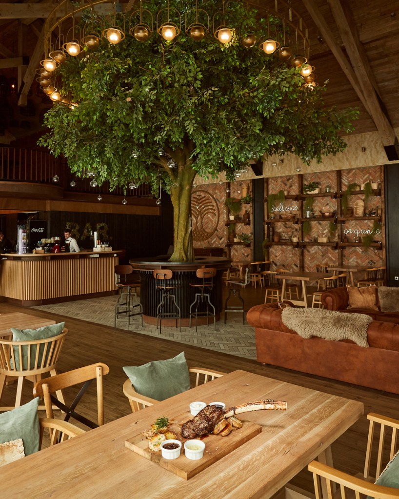 D.O.R. este acronimul de la - delicios, organic, românesc