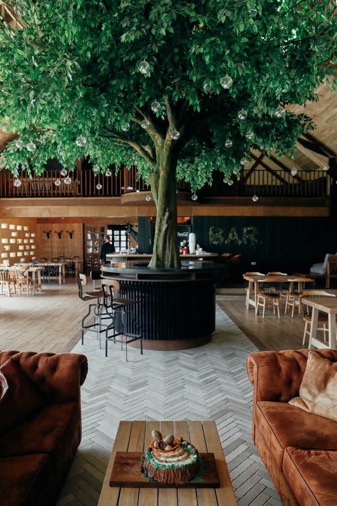 D.O.R. este acronimul de la - delicios, organic, românesc