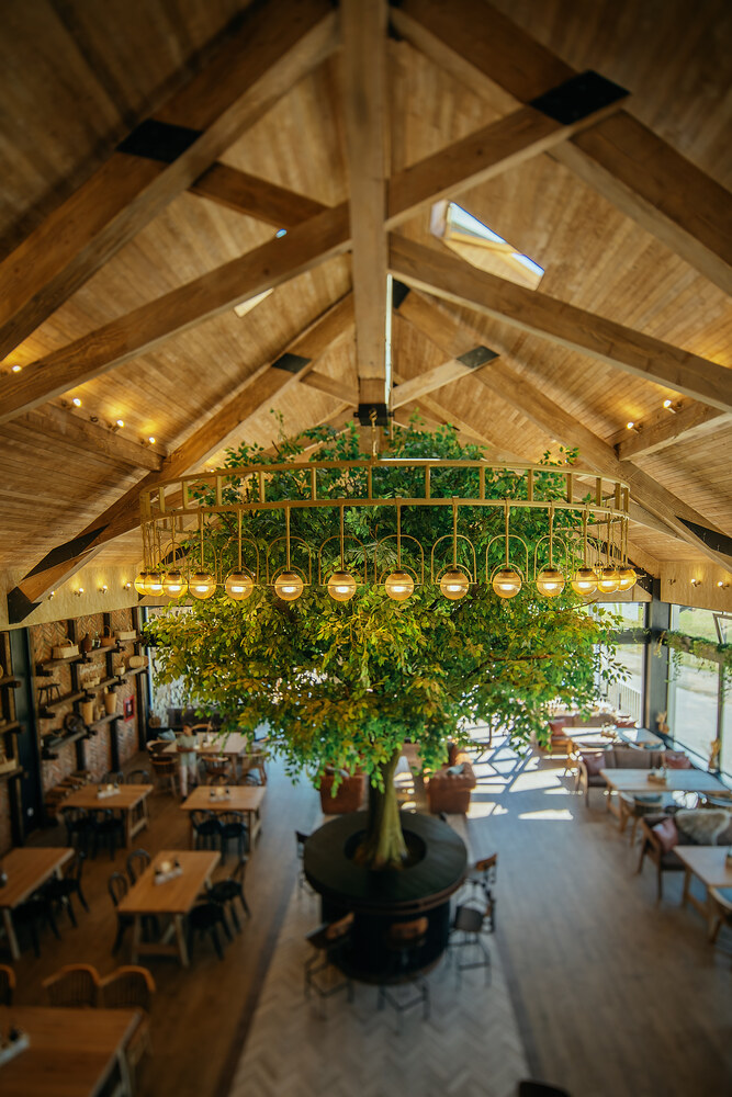 Restaurantul D.O.R. are și două case de oaspeți