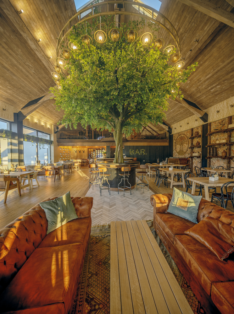 Copacul are o semnificație aparte