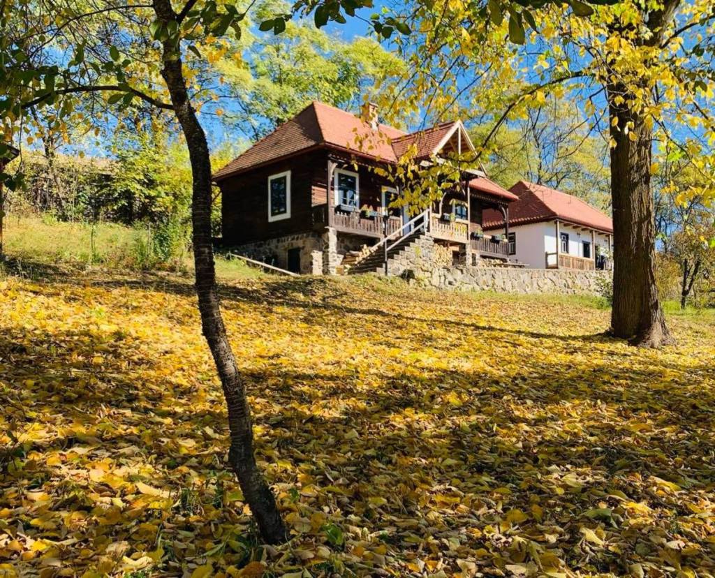 La final de 2019, Eniko și soțul ei s-au mutat la sat