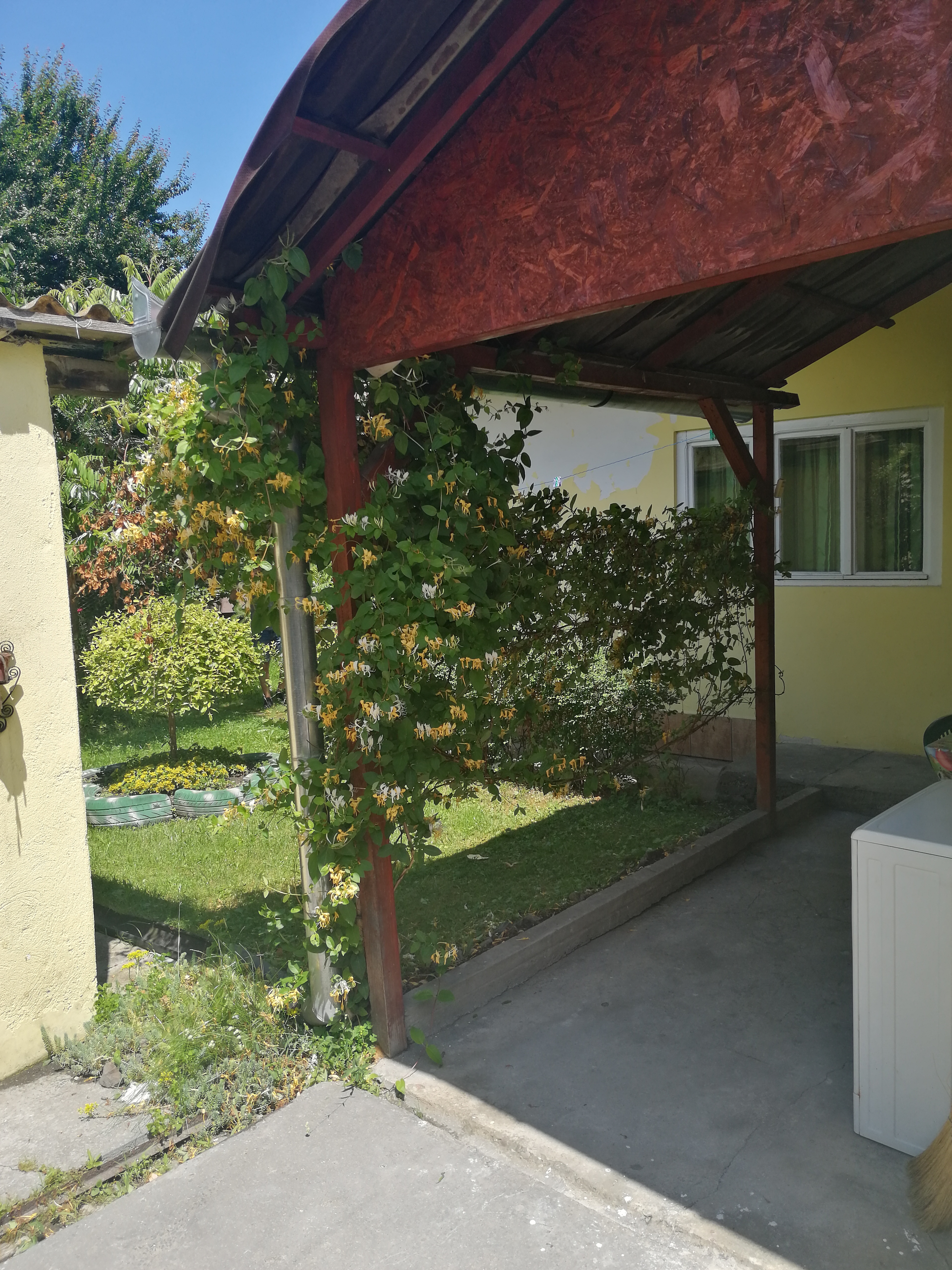 renovare case batranesti copsa mica