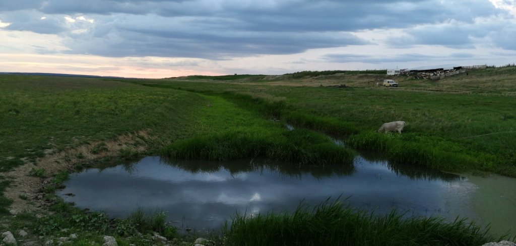 Insula Calnovăț