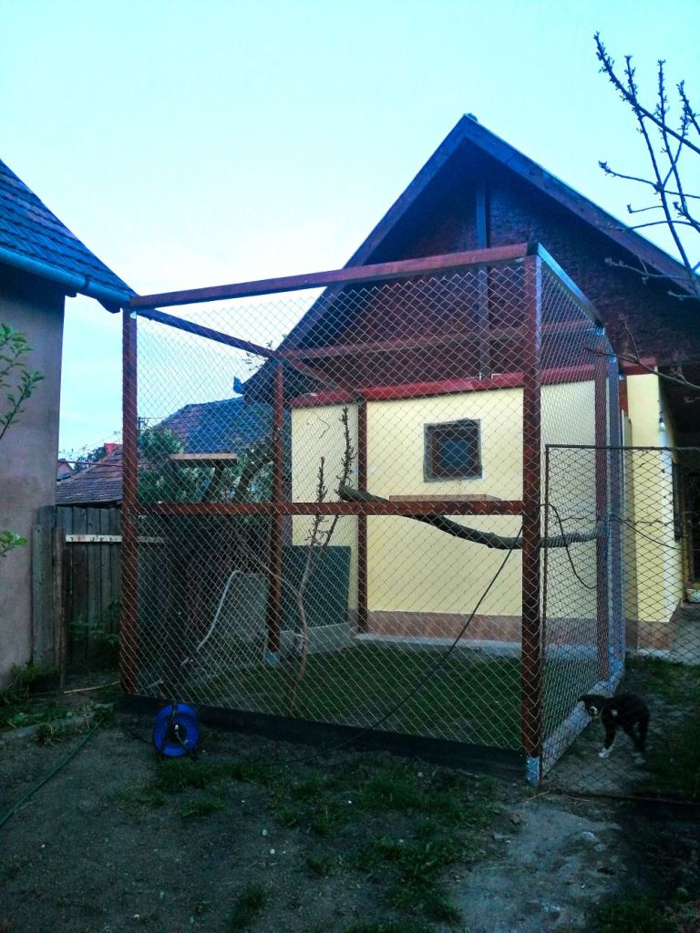 catio pisici izabelle