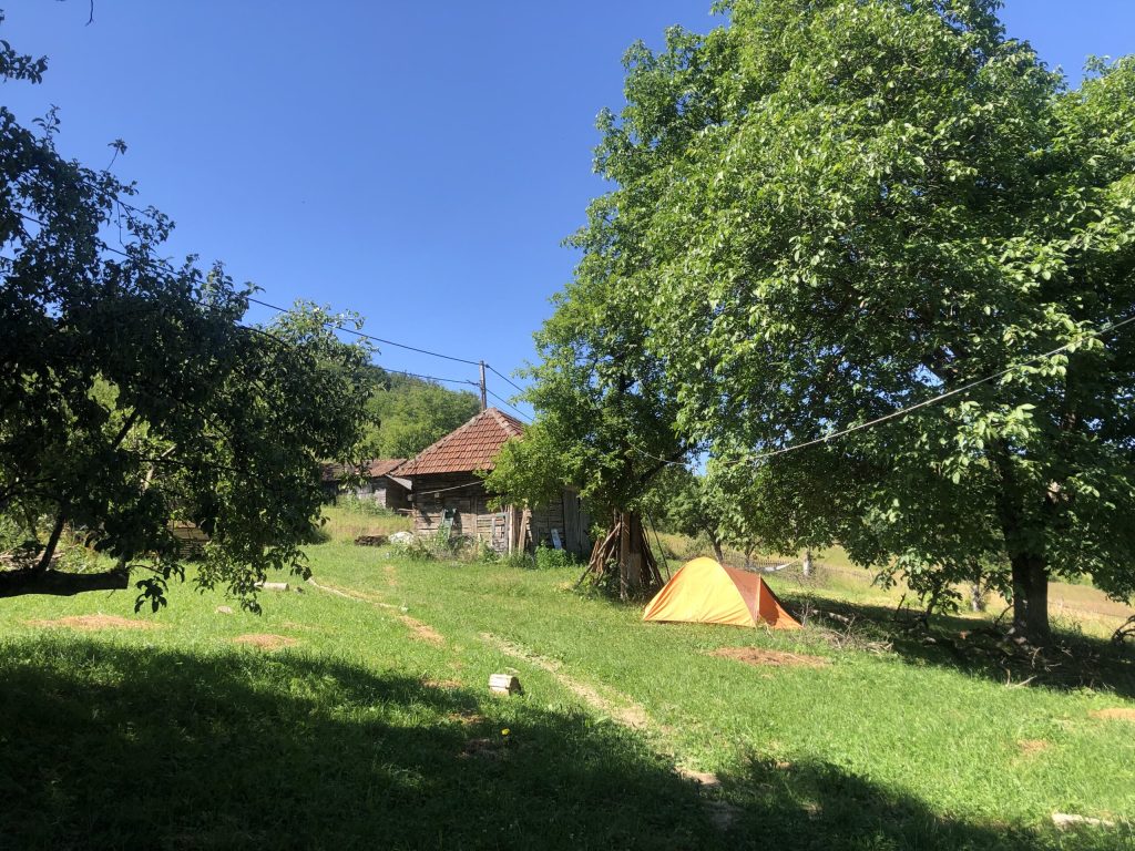 curte casa la tara damis