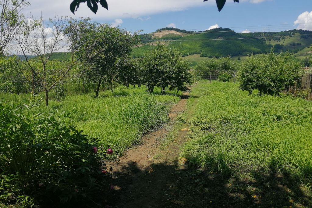 teren curte casa copsa mica izabelle