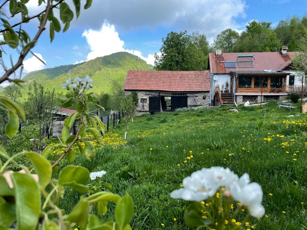 Viața sa sat - Monica