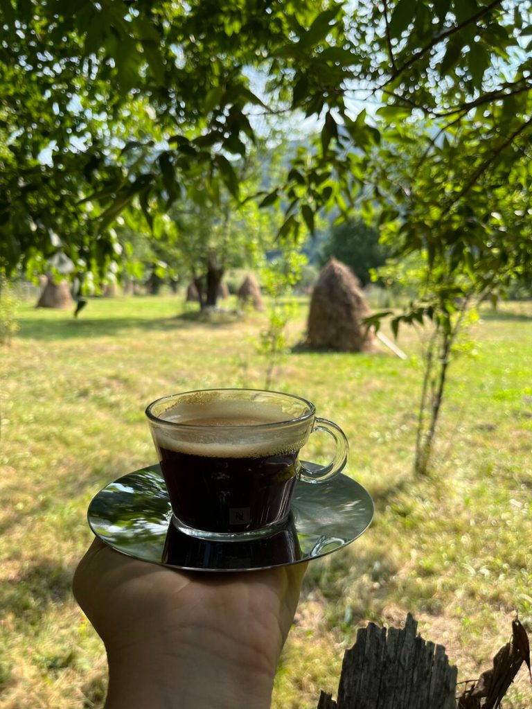 Cabana este înconjurată de munți, stânga-dreapta, și are o pădure în spatele ei, dar și râul Lotru în față