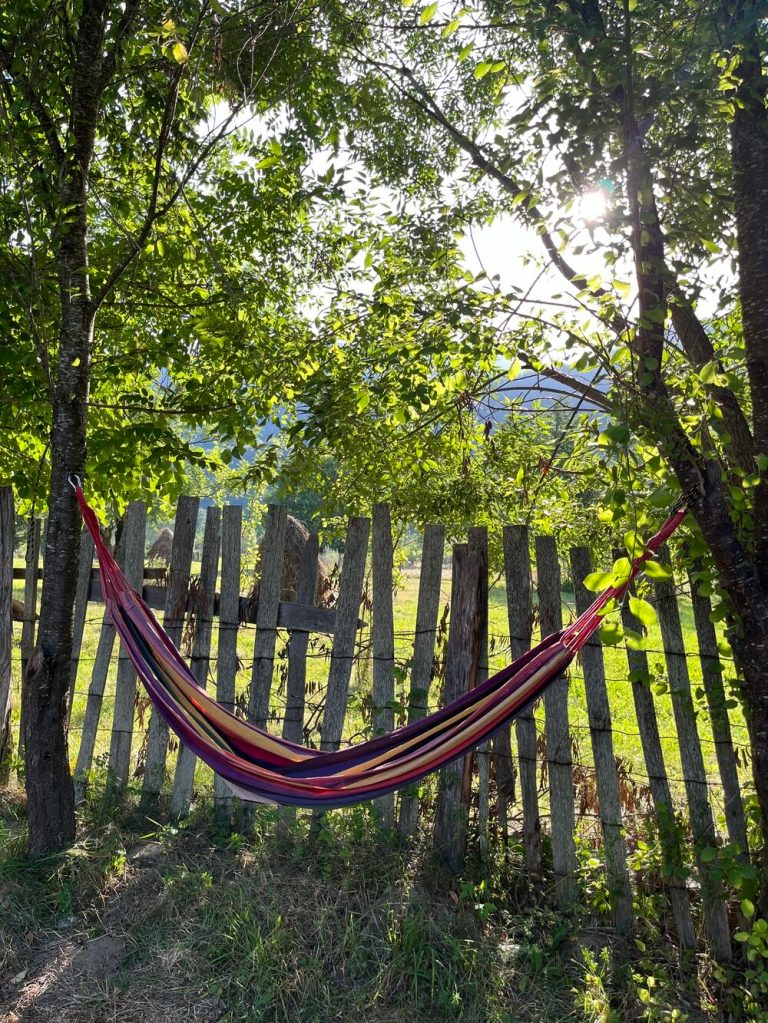 Cabana este înconjurată de munți, stânga-dreapta, și are o pădure în spatele ei, dar și râul Lotru în față