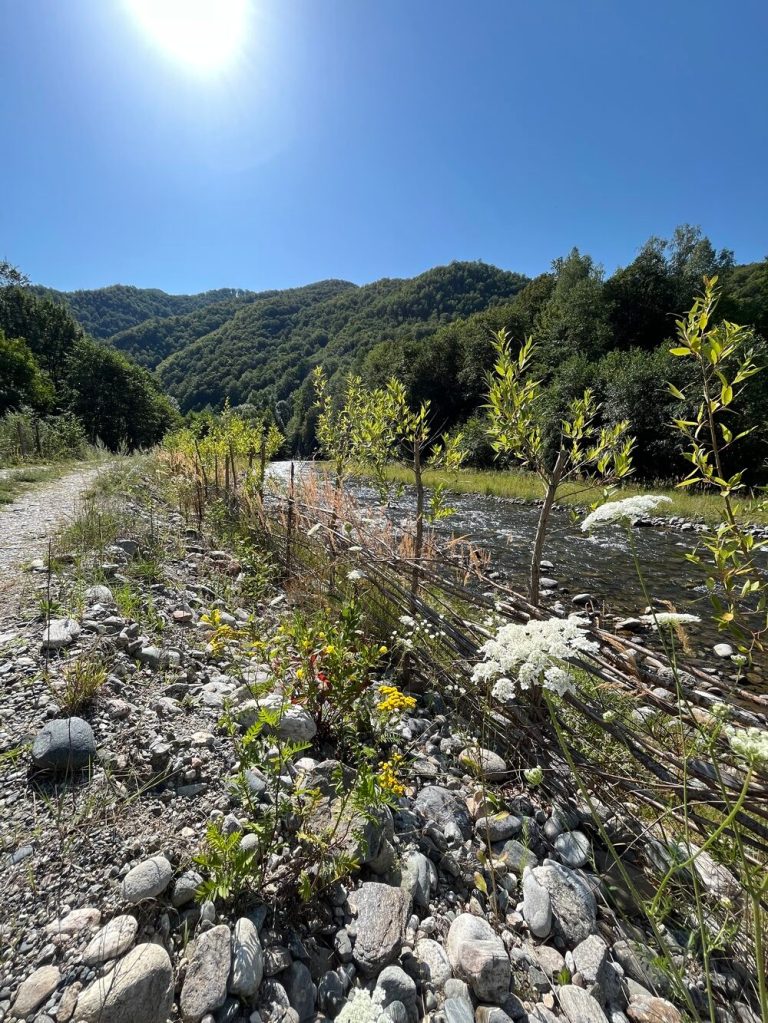 Cabana este înconjurată de munți, stânga-dreapta, și are o pădure în spatele ei, dar și râul Lotru în față