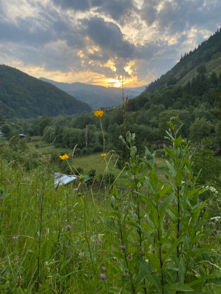 Cabana este înconjurată de munți, stânga-dreapta, și are o pădure în spatele ei, dar și râul Lotru în față