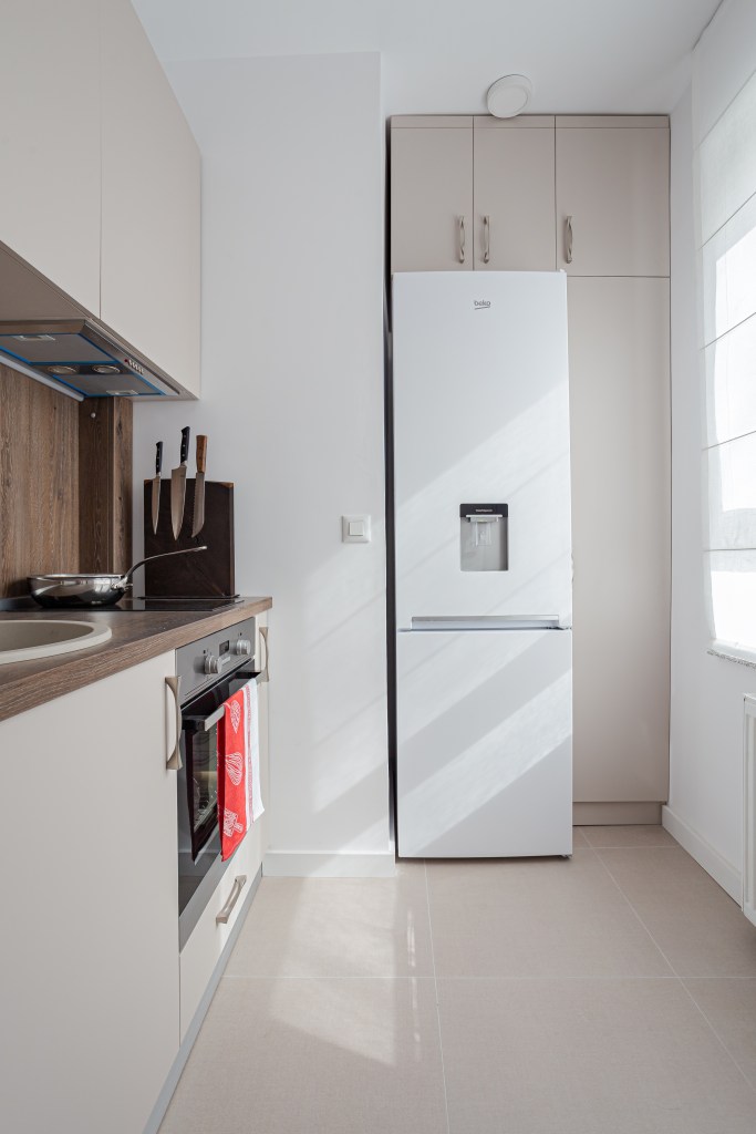 Renovare apartament vechi Bucuresti - arh. Cristiana Zgripcea - foto Vlad Creteanu (6)