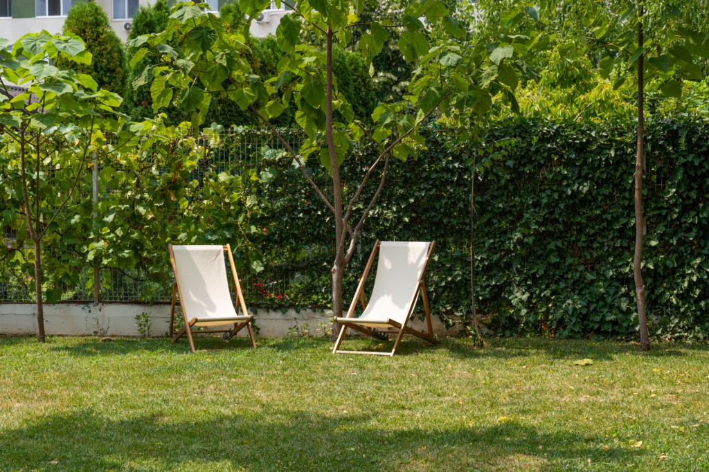 relaxare in gradina 2