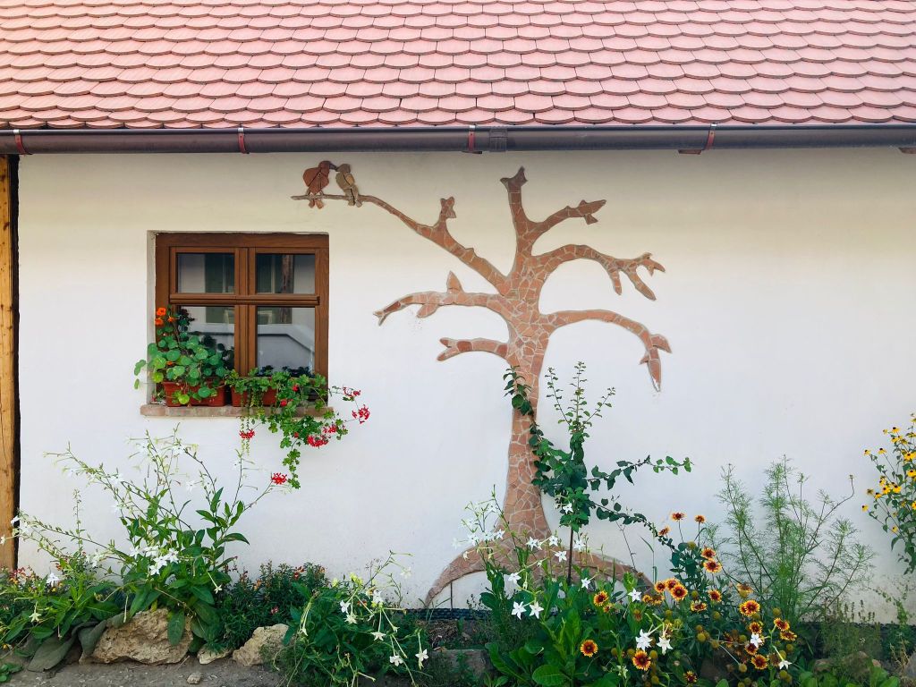 Chiar dacă locuiește în altă țară, pentru Flavius, casa bunicilor rămâne „acasă”