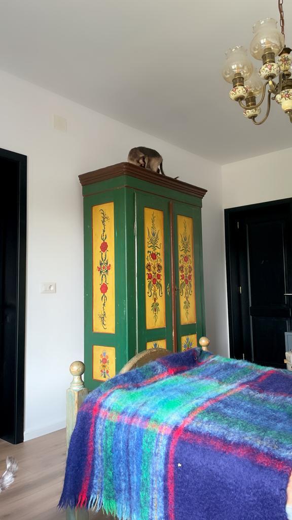Ioana s-a ocupat de tot ceea ce înseamnă design-ul de interior