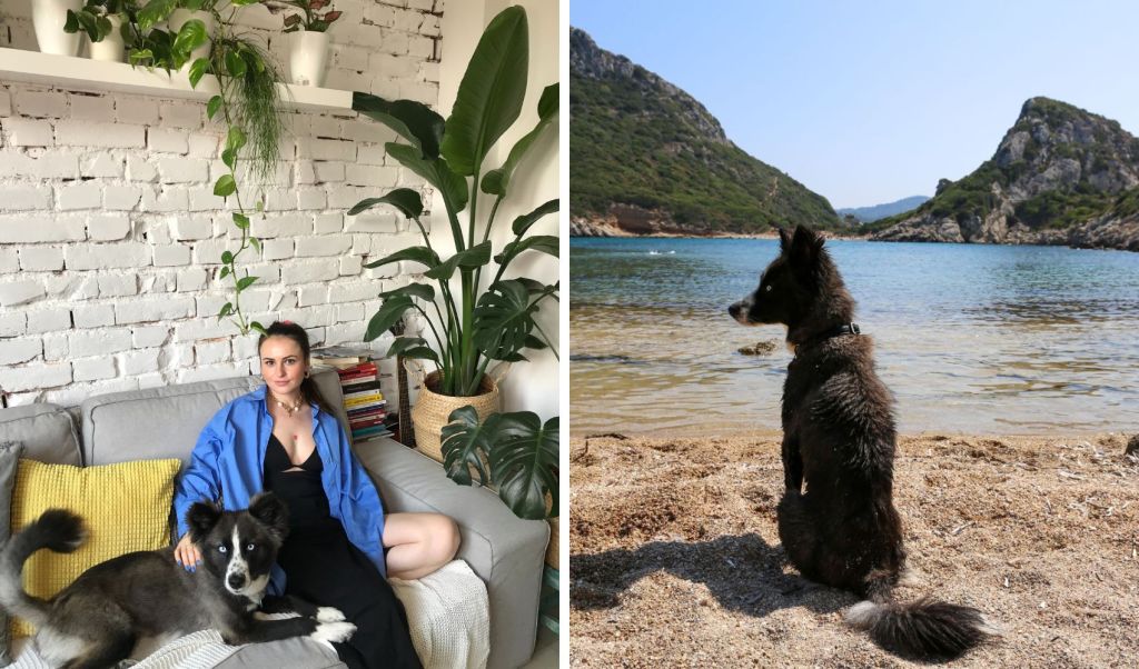 adoptii caini pruna si alina ciobanu