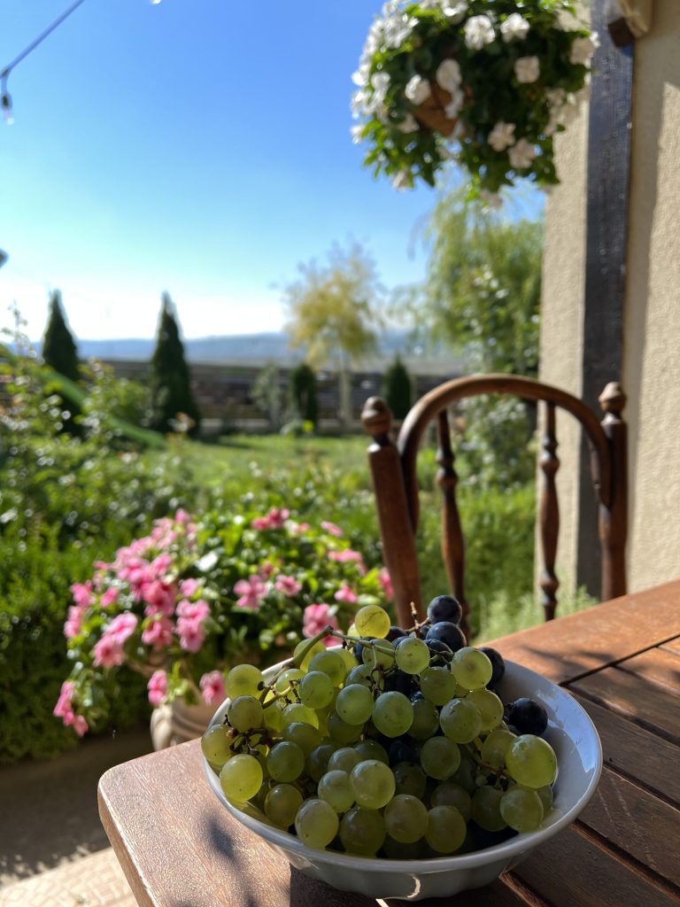 casă lângă Vaslui terasă